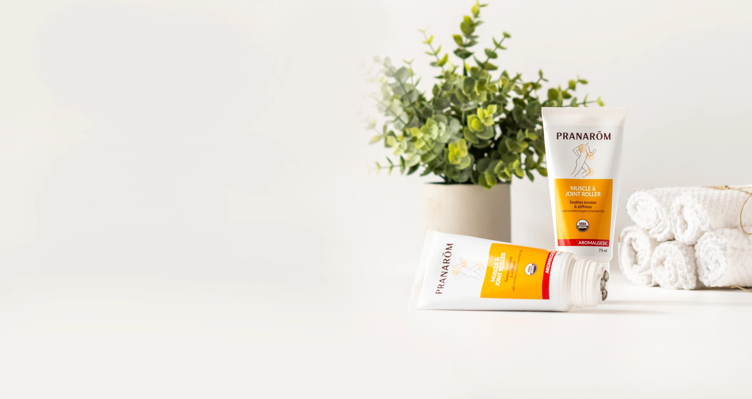 Pure Botanical Wellness in Style